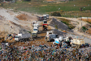 ΧΥΤΑ ΦΥΛΗΣ 2